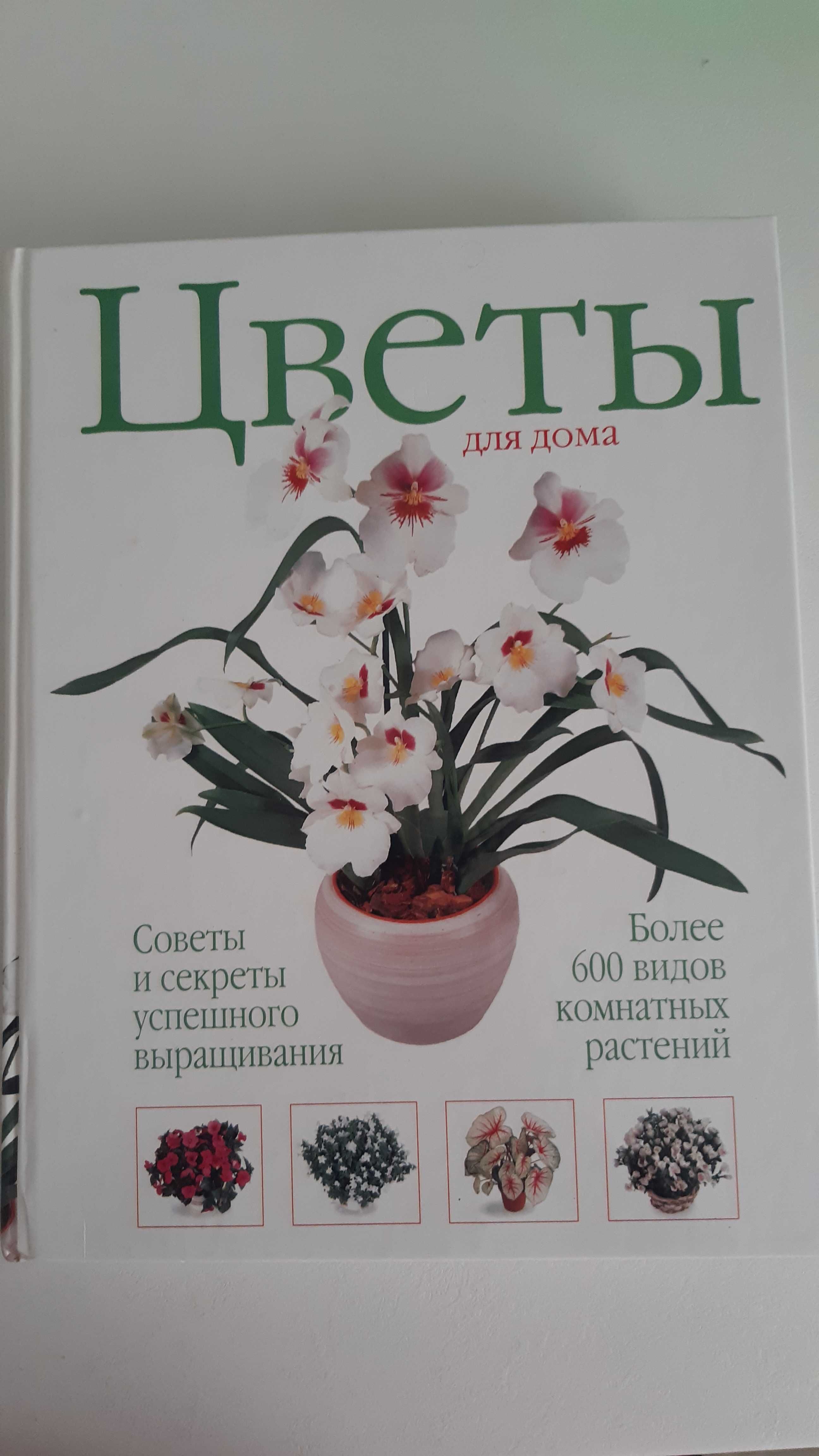 Книга цветы для дома