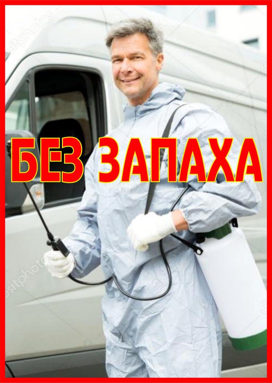 Генеральная уборка квартиры Клининг Дезинфекция Озонирование Химчистка