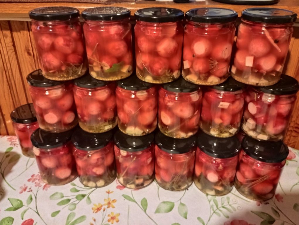 Domowy Kompot z Rabarbaru sezon 2025
