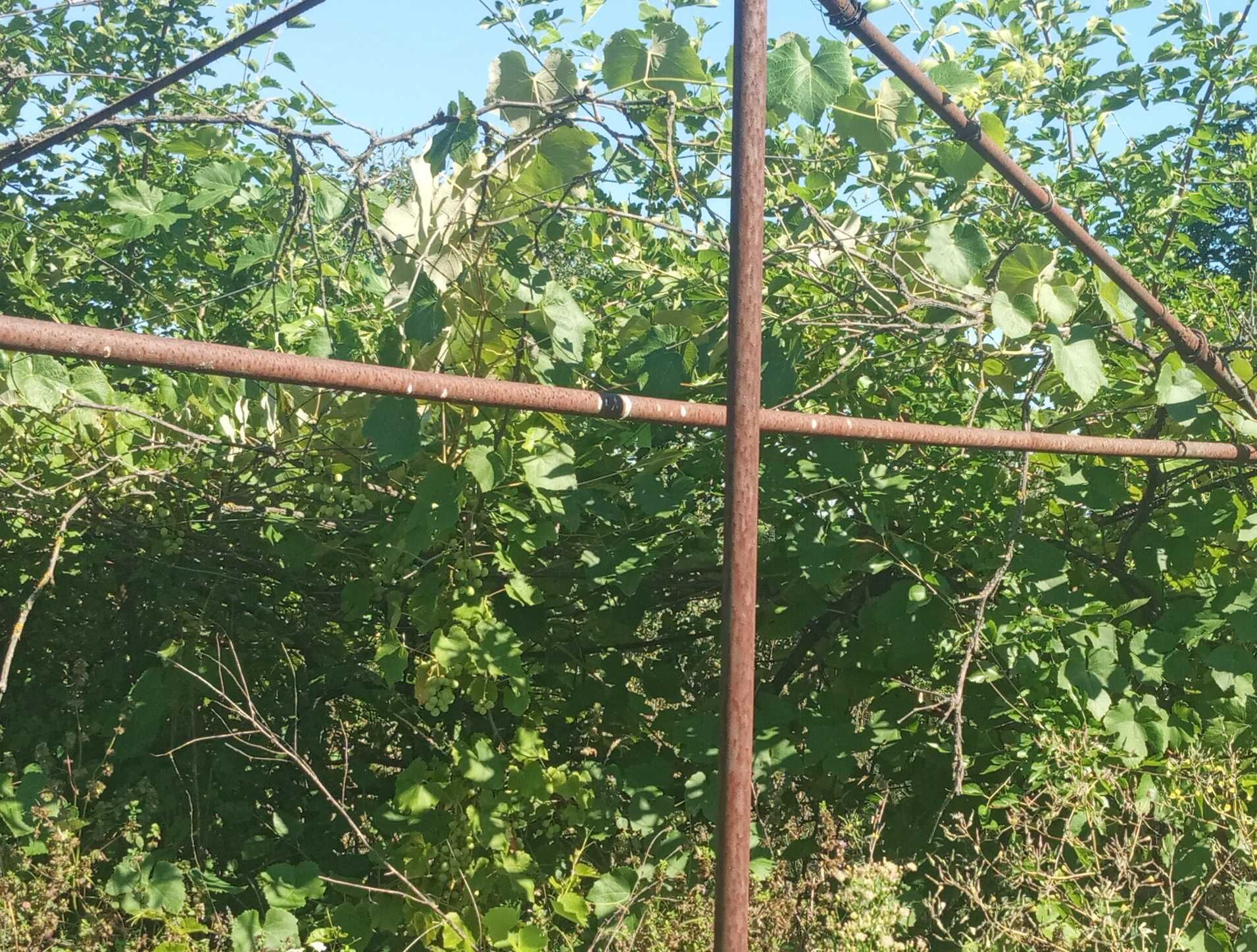 Продам будинок в селі Шульгівка