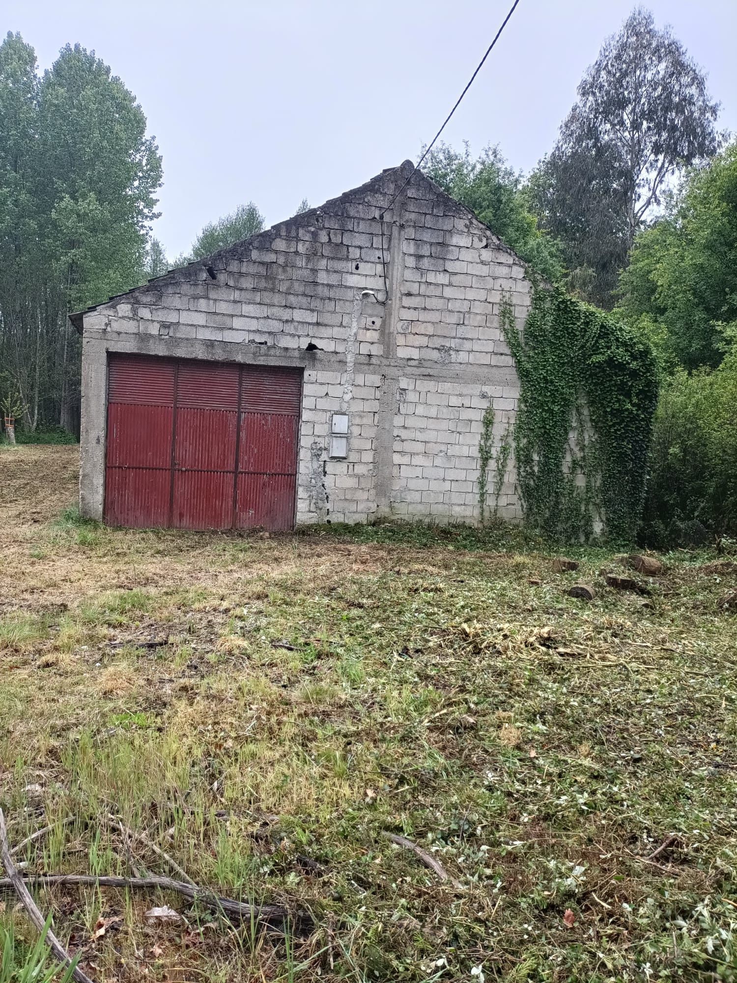 Terreno com Armazém - Queiriga