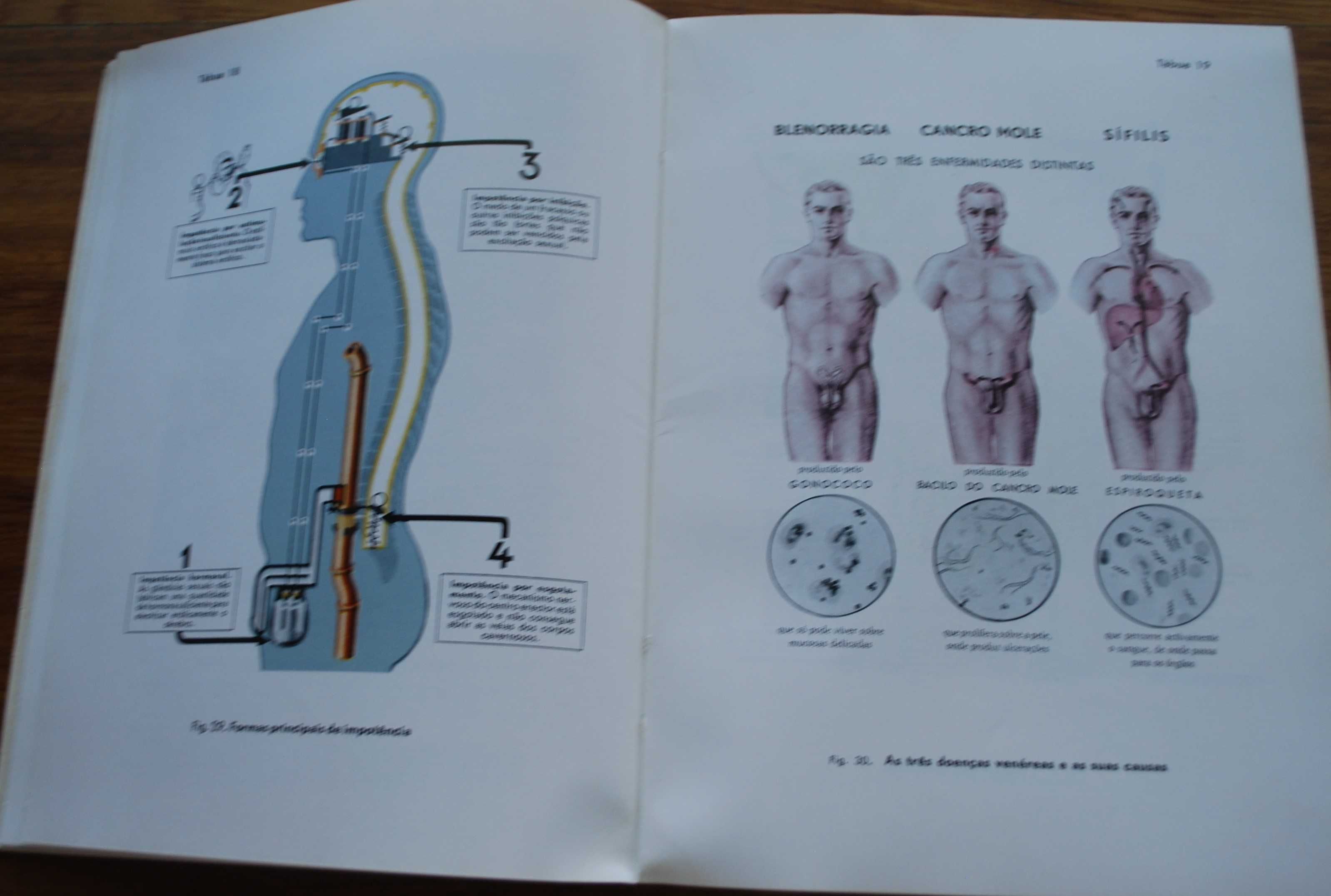 A Nossa Vida Sexual (Seus Problemas e Soluções) de Fritz Kahn