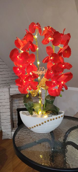 Piękny ogromny storczyk na prezent święta czerwony świecący LED