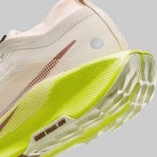 ОРИГИНАЛ | Кроссовки Nike Pegasus Trail 5 Gore-Tex FQ0912-101