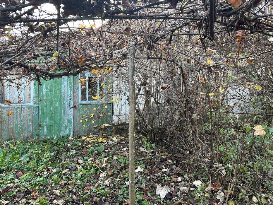 Продаж ділянки в центрі с.Микуличі. 32 сотки. Заведено світло.ID:88