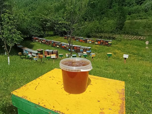 Карпатський лісовий мед травневий 2022
