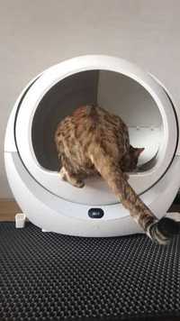 Kuweta Petree: zaawansowana technologia dla zdrowia Twojego kota!