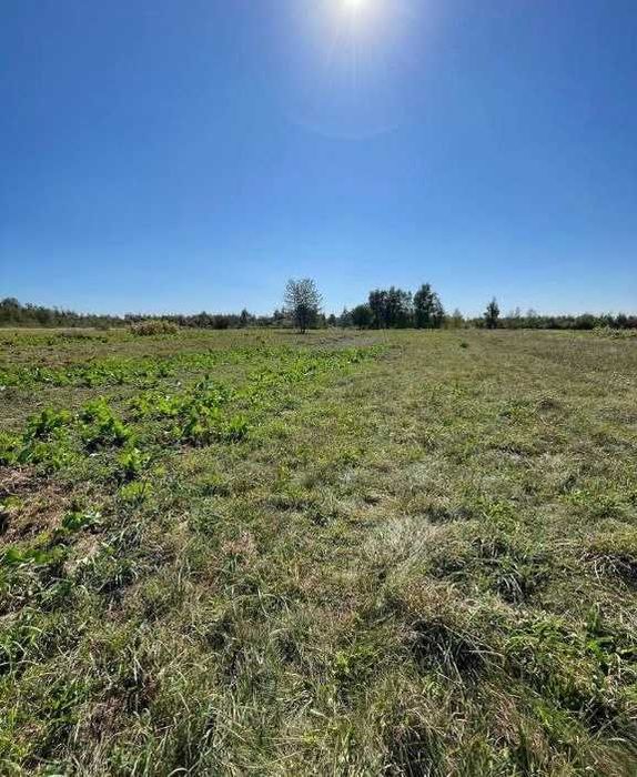 Продаж будинку з великою земельною ділянкою,село Любовичі.Без комісії!