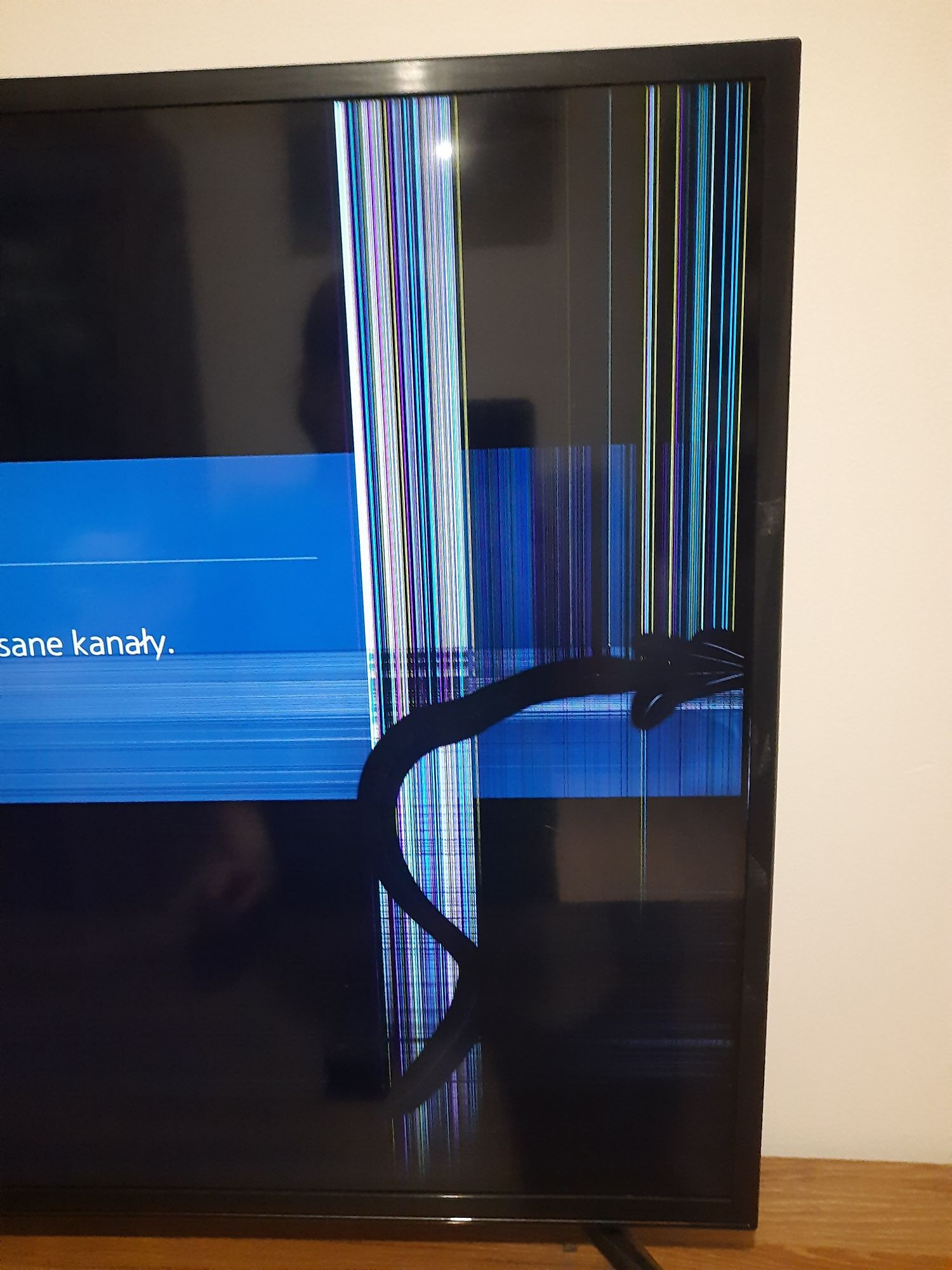 Telewizor Samsung z uszkodzoną matrycą