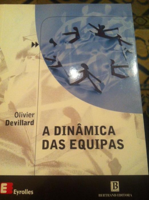 livro a dinamica das equipas