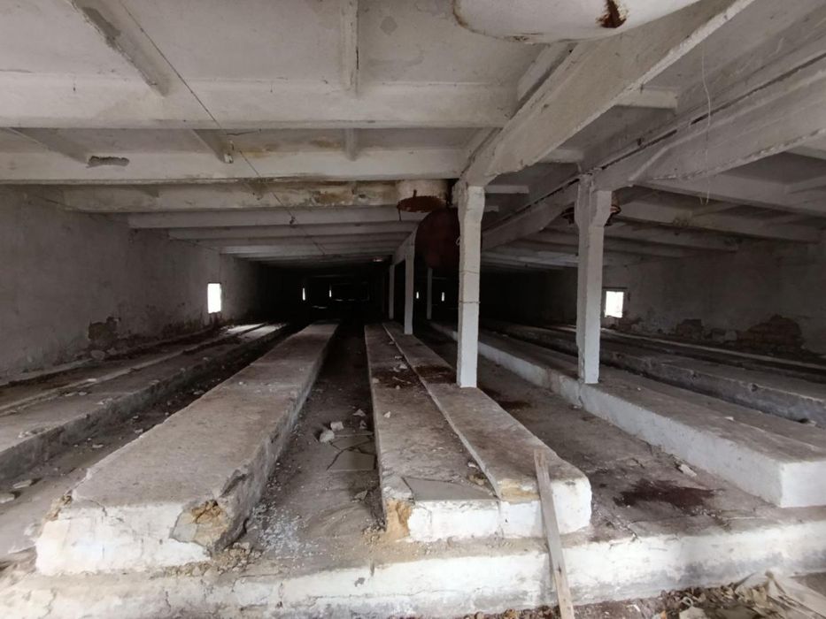 Агрокомплекс: птахофабрика + ферма з вирощування равликів, 19 га