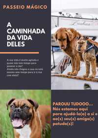 Passear o seu cão por si!