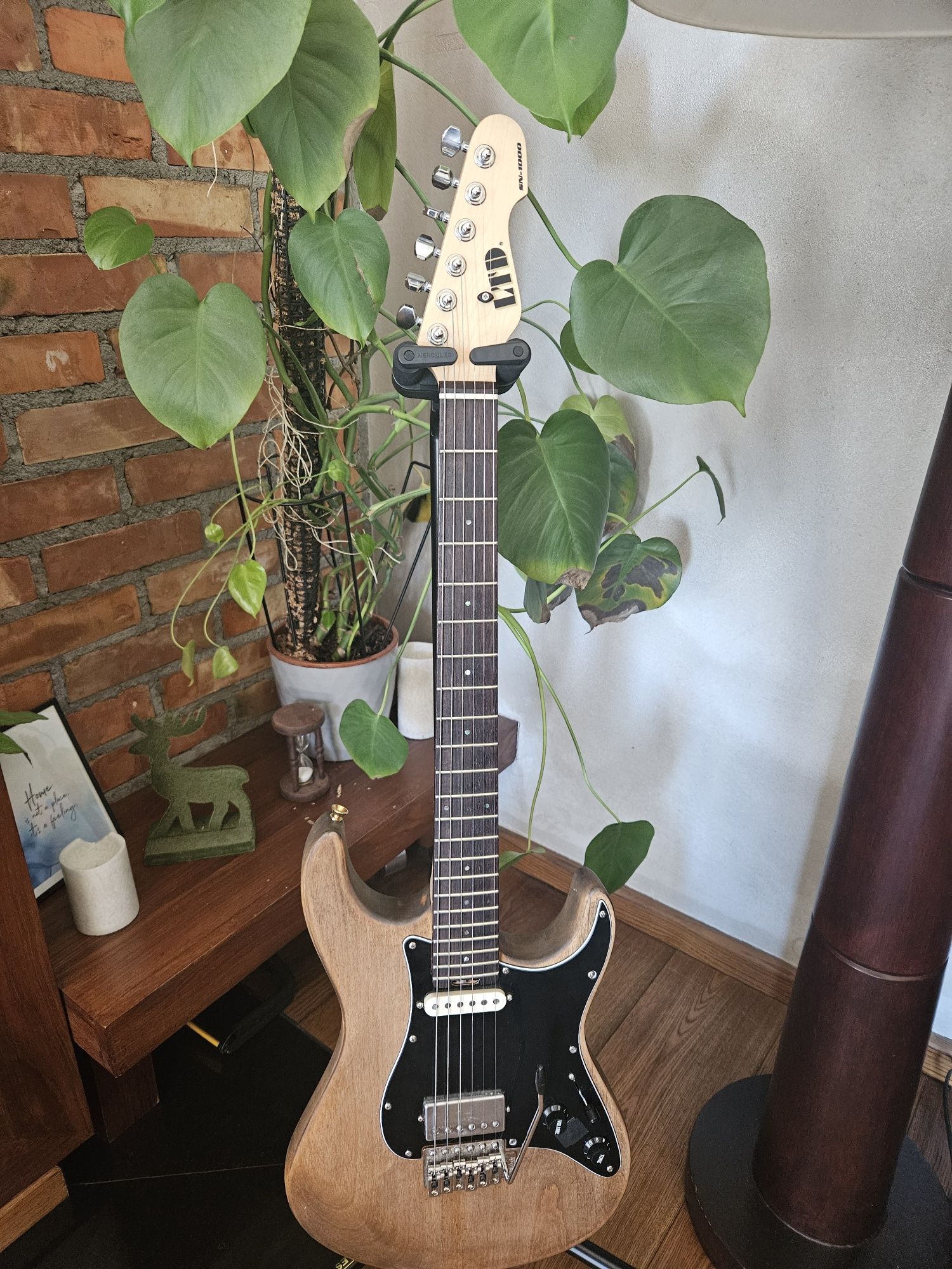 Gitara elektryczna ESP LTD SN1000 Custom