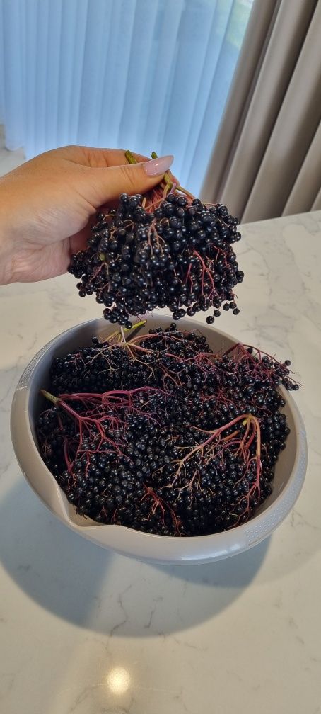 Czarny bez sok syrop owoce aronia malina pigwowiec japoński sosna