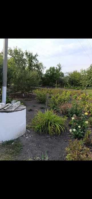 Продам будинок в селищі Машівка