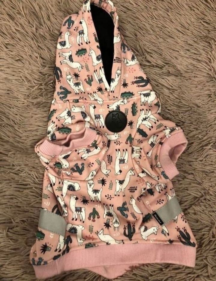 Nowa Bluza dla psa