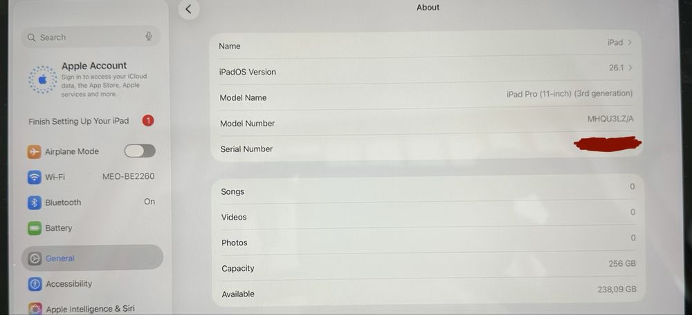 Ipad Pro 11” - 256 GB