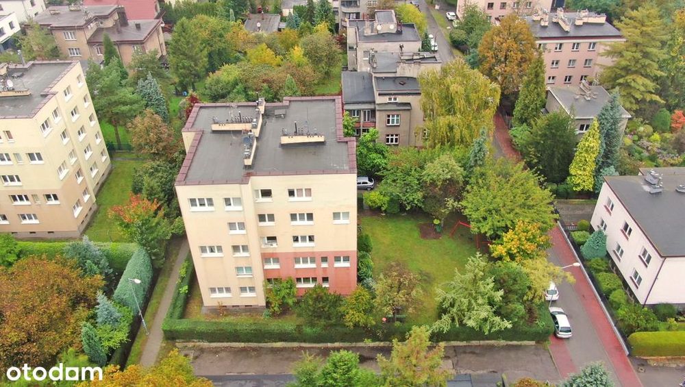 Przytulne mieszkanie z widokiem na zieleń