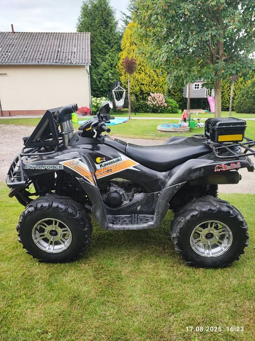 Kawasaki Brute force 650, samochodowy inny