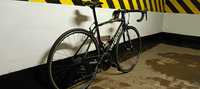 Rower szosowy SPECIALIZED ALLEZ Sagan World Champion Edition r.52