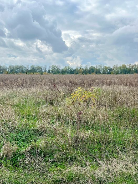 Продаж земельної ділянки в Бохониках!!!