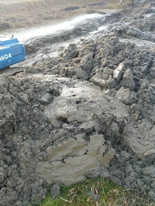 Чорнозем мул з ставка безкоштовно