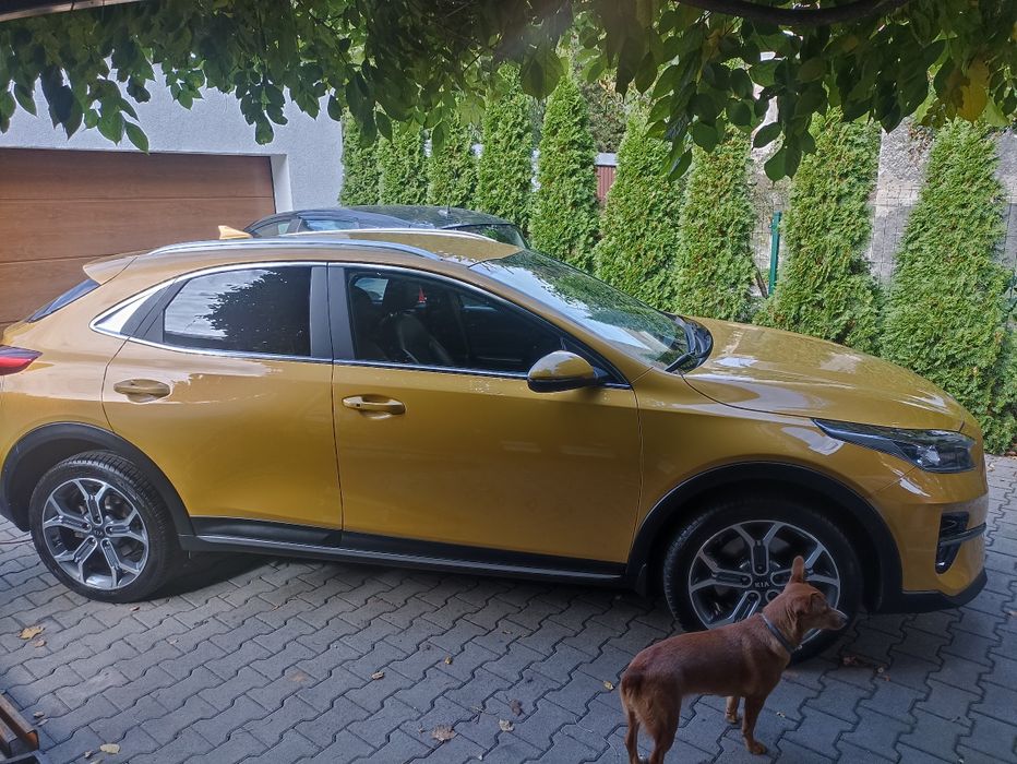 Sprzedam Kia Xceed