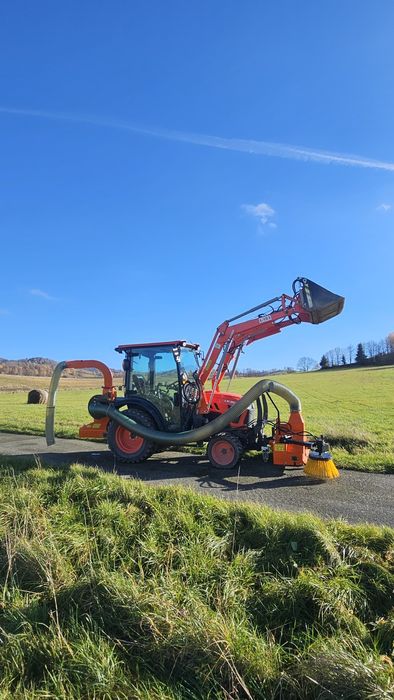 Odkurzacz do liści, porządki jesienne
