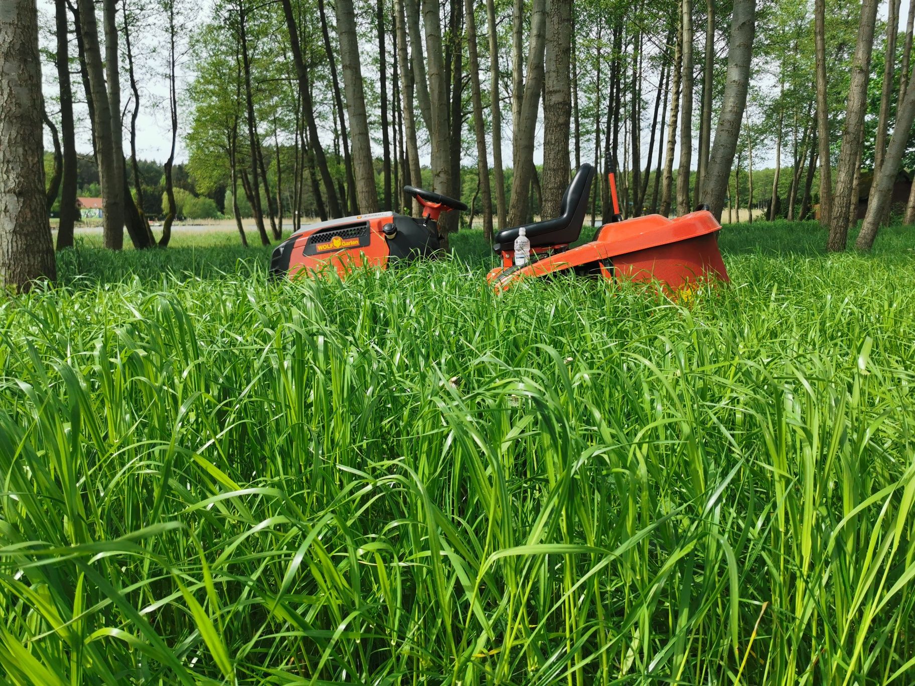Koszenie traw, działek, ogrodów.