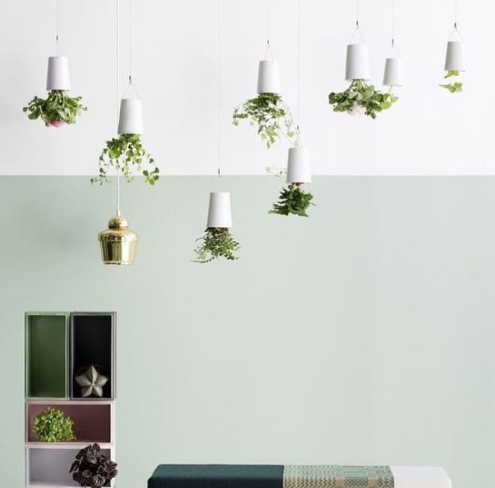 Bosske Sky Planter - 5 Vasos invertidos para pendurar no teto