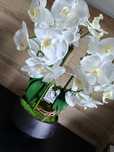 Duży przepiękny biały sztuczny storczyk orchidea w czarnej doniczce
