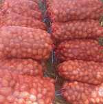 Vendo batata nova agria saca de 20kg 10€