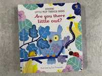 Are you there little owl Usborne