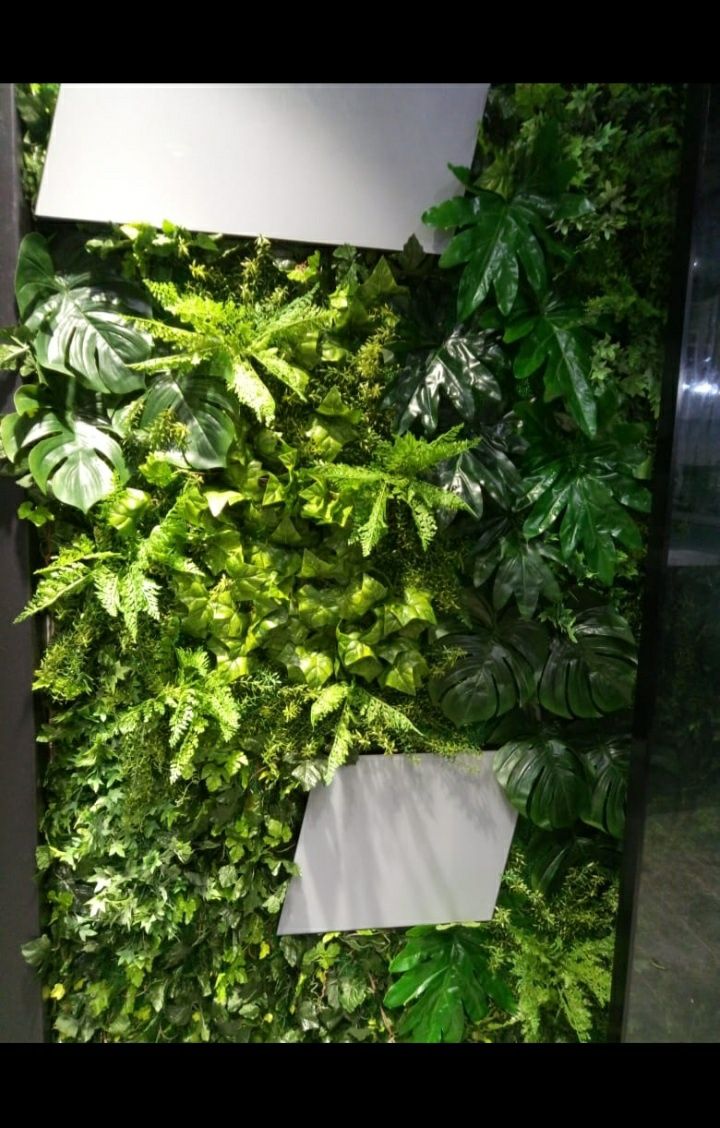 Зелені стіни із рослин.Озеленення.Флористика..