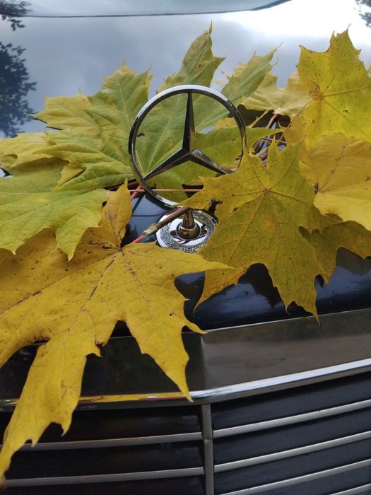 Mercedes Benz w201(190)