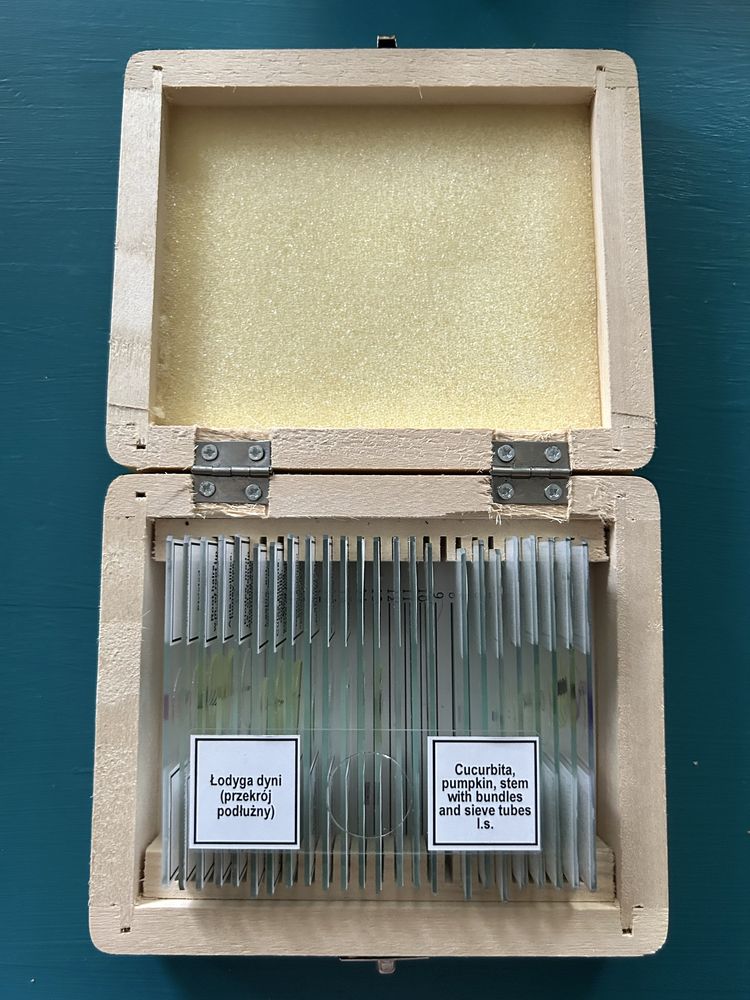Mikroskop Levenhuk 2L/3L/D2L oraz preparaty biologiczne
