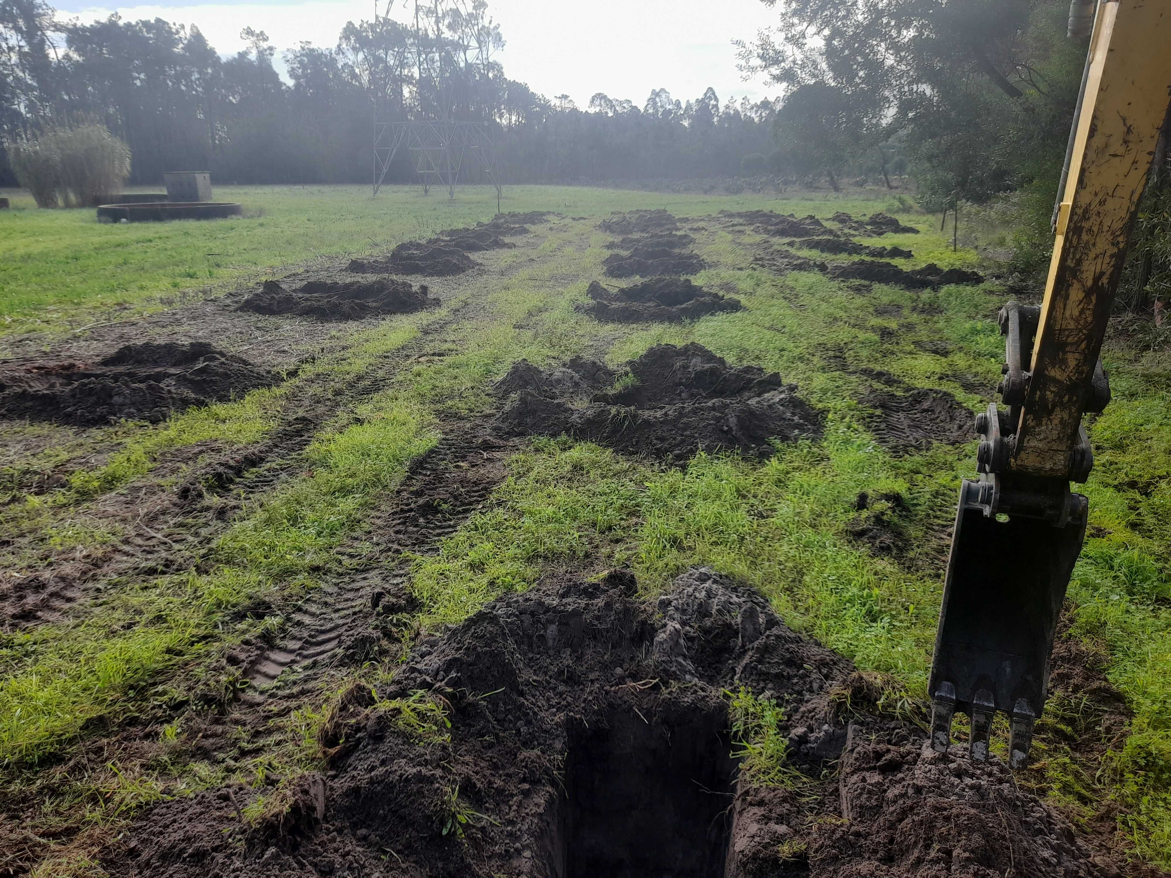 Limpeza de terrenos escavação demolição