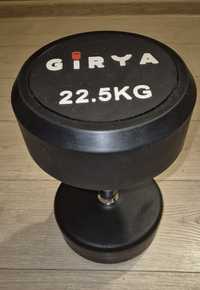 Hantla stalowa gumowana 22,5 kg