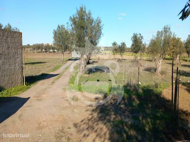 Terreno Rústico em Reguengos de Monsaraz