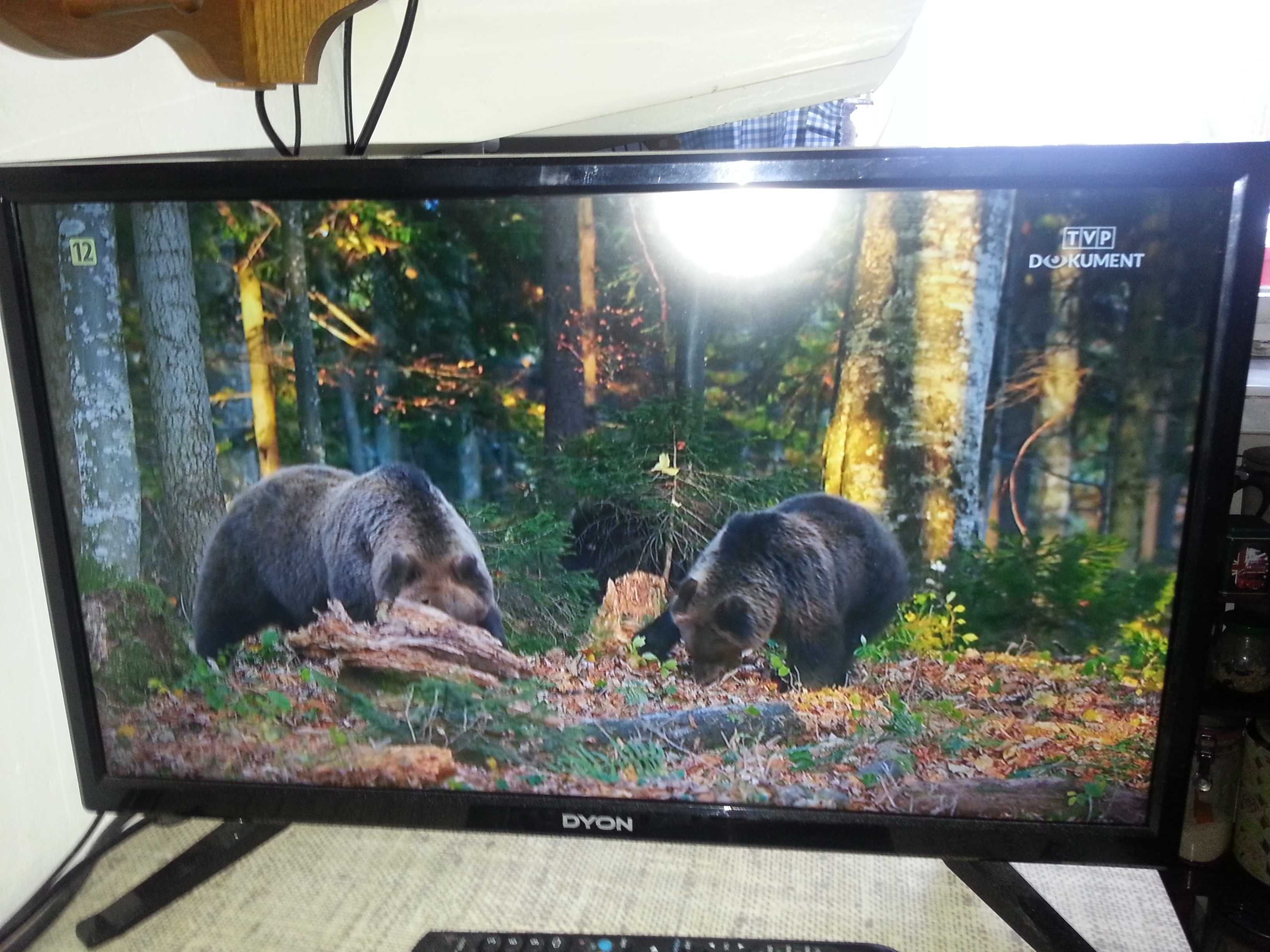 TV LED 22 cale Full HD  DVB-T2 H.265/HEVC, DVB-S2, DVB-C