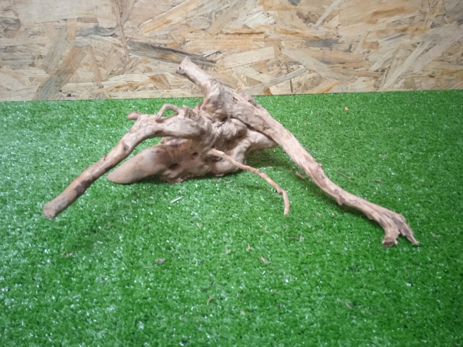 Korzeń do akwarium Red Moore Wood nr 268 o wymiarach 27/24/11