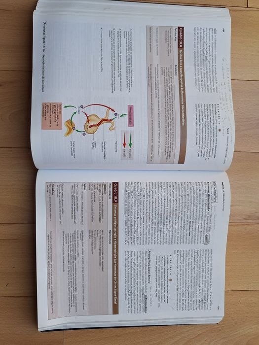 Anatomia & Fisiologia - Seeley, Stephens, Tate