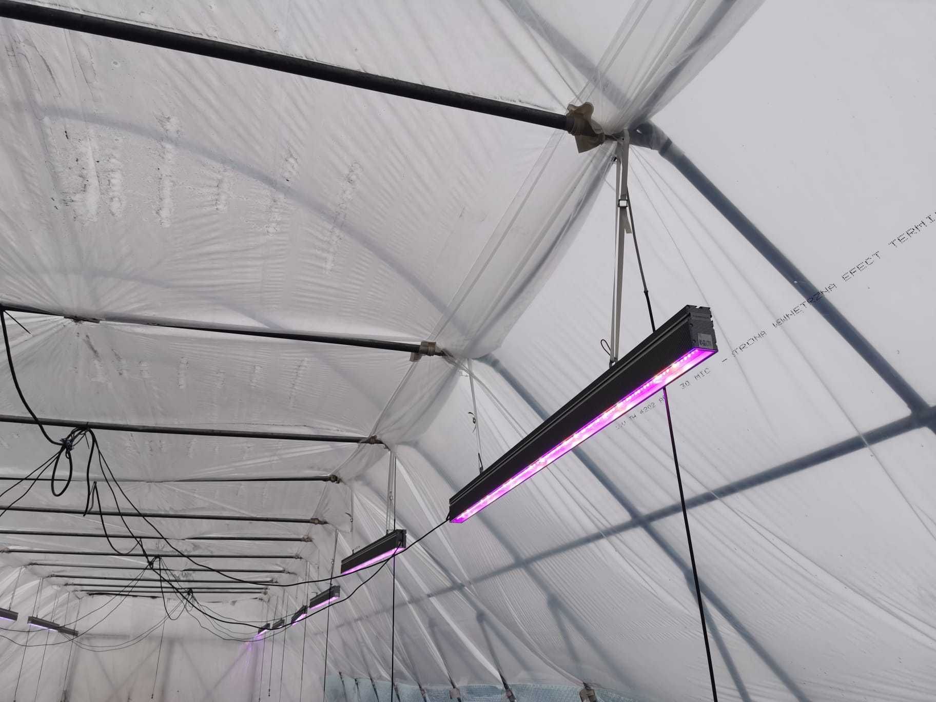 Lampa Led Growy Osram NEONICA Silver Pro 200  -ogrodnictwo - do roślin