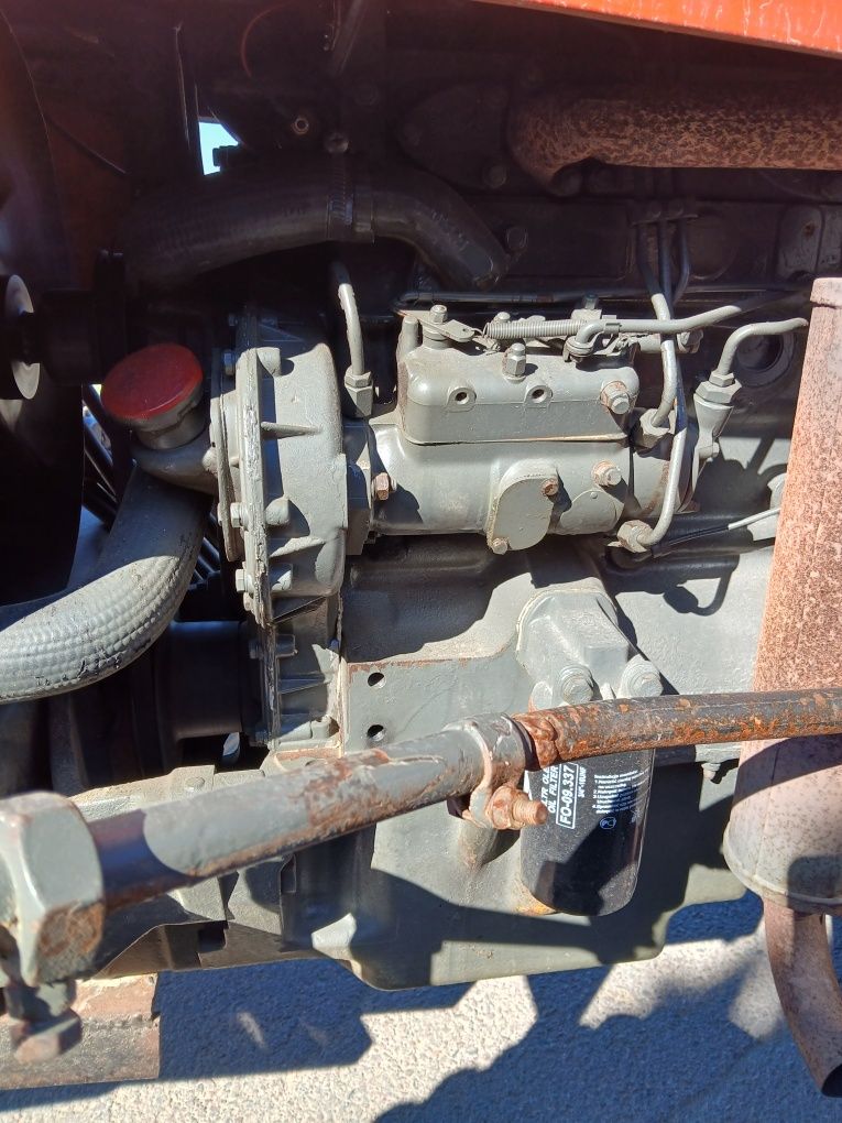 Massey Ferguson 135 V / 255 sadowniczy, sadownik