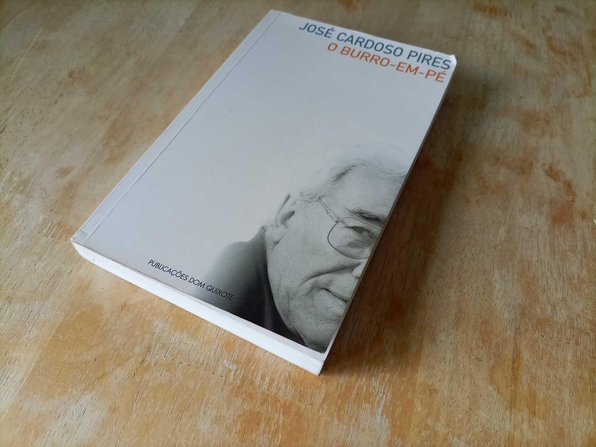 O Burro Em Pé - José Cardoso Pires