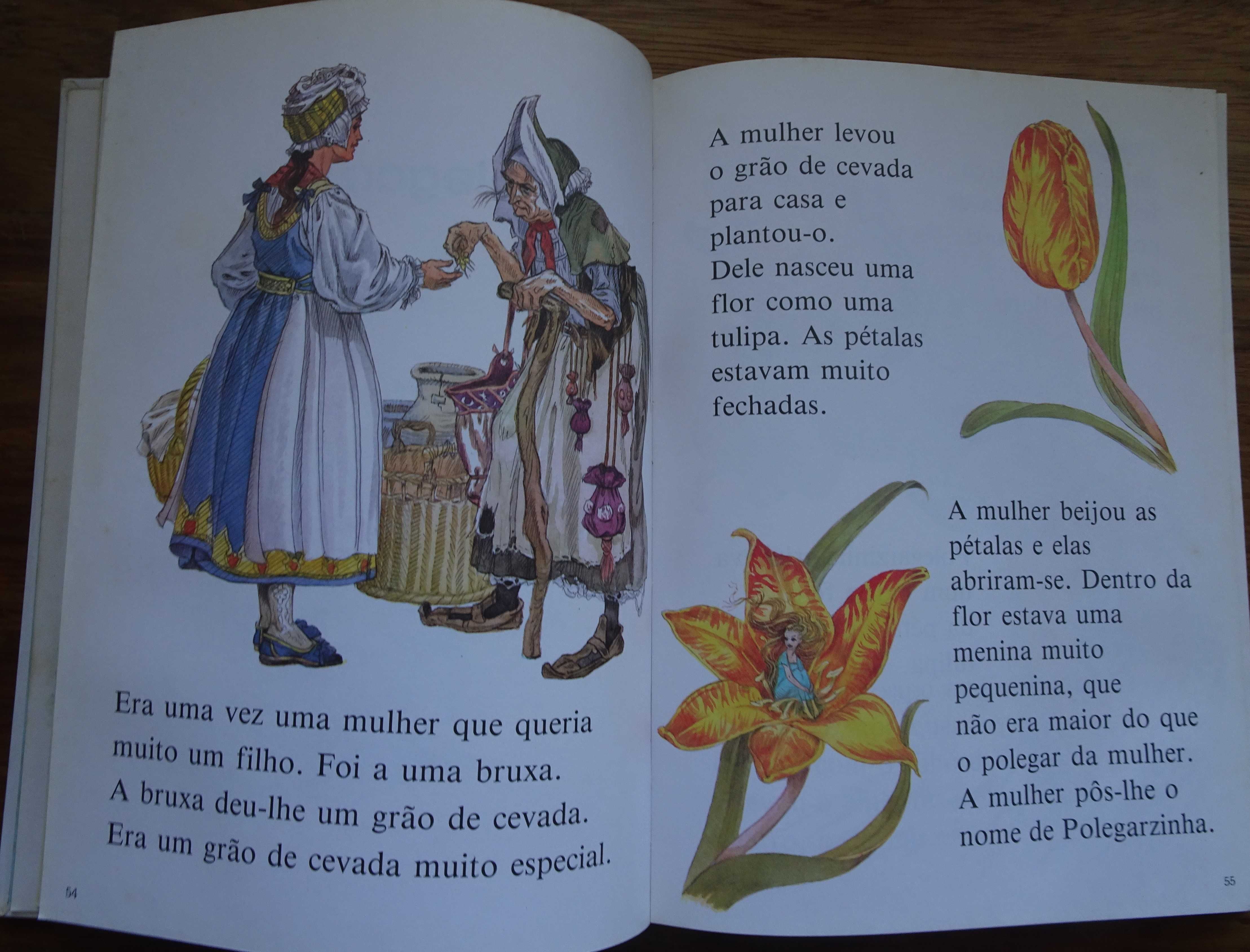 Os Mais Belos Contos de Fadas (Em Letras Grandes / Partir dos 4 Anos)