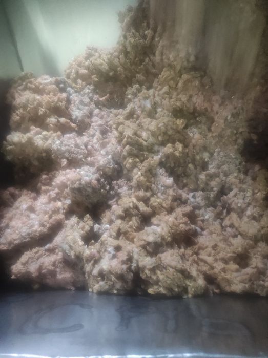 Натуральний корм для собак(рубець)