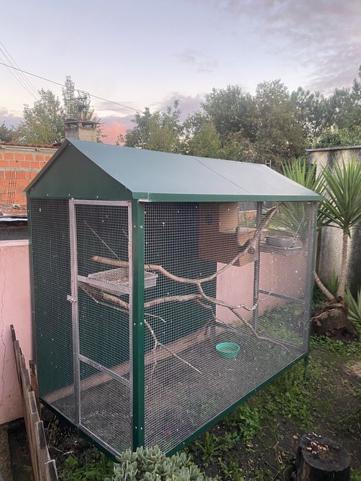 Casota para passaros