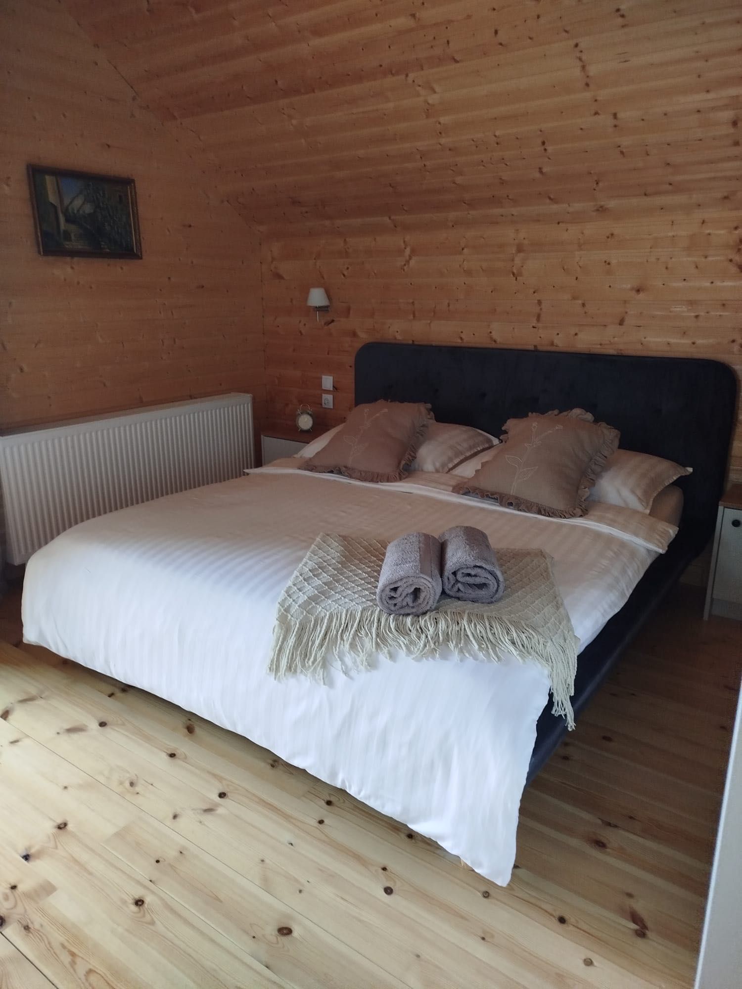 Dom do wynajęcia Bieszczady ,,Brzozowy Gaj”
