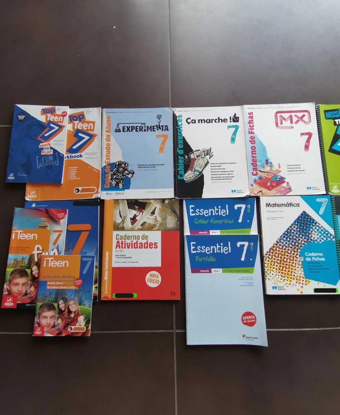 Manuais e Livros de fichas do 7°Ano